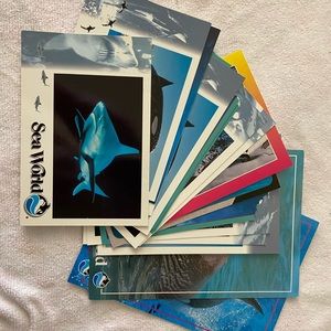 Vintage lot 1990s postcards from SeaWorld (16) and Disneyland (4)
